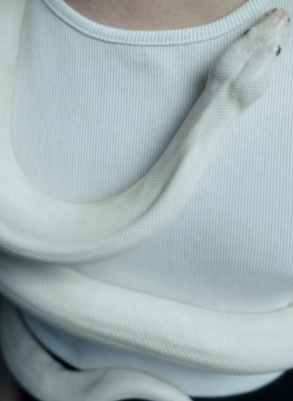Naujausias Rokas Yan albumas „Alkis“ atlikėjo gerbėjus pasieks jau gegužės 21 dieną